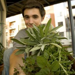 Home Dried Herbs: A How To Guide!