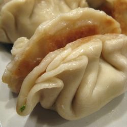 Pork Potstickers