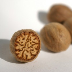 Nutmeg