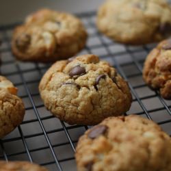 Chocolate-Nut Cookies