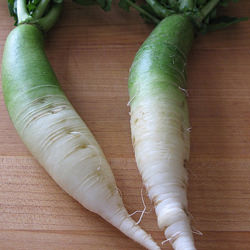 Radishes