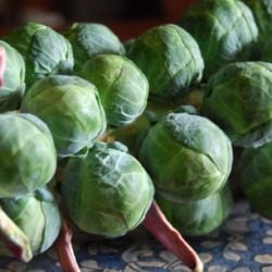 Sweetly Savoring Brussels