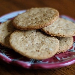 Homemade Graham Crackers