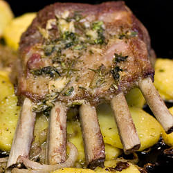 Provençal Rack of Lamb