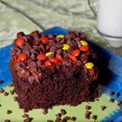 Chocolate Peanut Butter Cake
