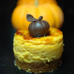Mini Pumpkin Cheesecake Brulee