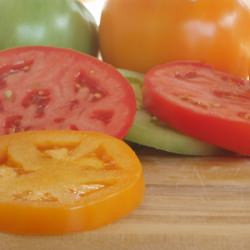 Tomatoes