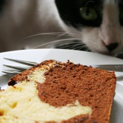 Marble Cake