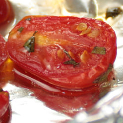 Tomato’s Last Hurrah