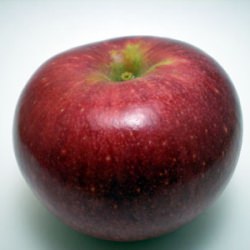 Stayman-Winesap