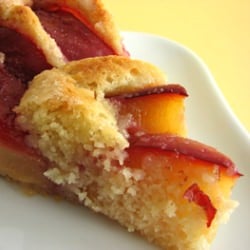 Yeasted Plum Tart
