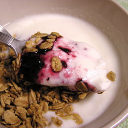 Homemade Yogurt