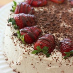 Tiramisu Cake