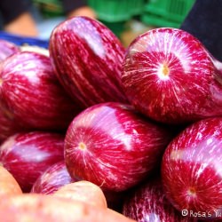 Geneva Farmer’s Market