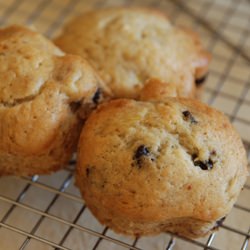 Banana Chocolate Chip Muffins