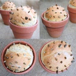 Pao Cacto – Cactus Bread