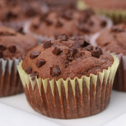 Chocolate Chocolate-Chip Muffins