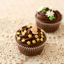 Chocolate Cupcakes
