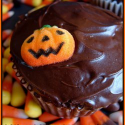 Chocolate Chocolate Cupcakes