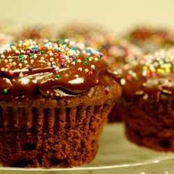 Chocolate Chocolate Cupcakes