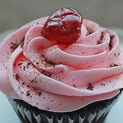 The Quintessential Cupcake