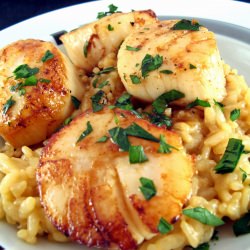 Scallop Risotto