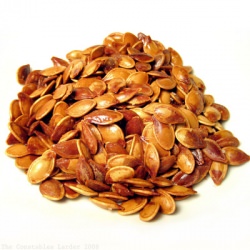 Pumpkin Seeds