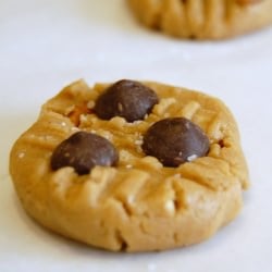 Peanut Butter Pretzel Cookies