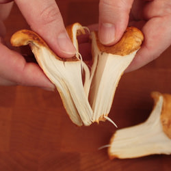 Preparing Wild Mushrooms