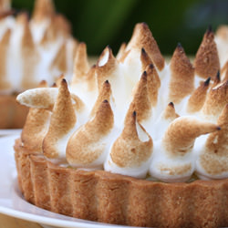 Yuzu Citrus Meringue Pie