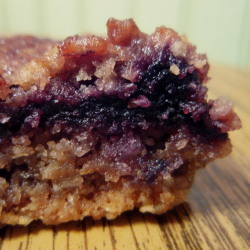 Blueberry Breakfast Bars