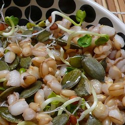 Crunchy Barley Salad