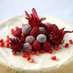 Pumpkin Cheesecake