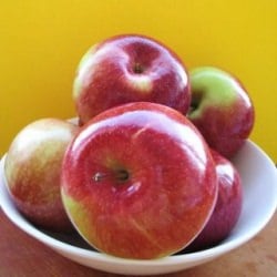 Fall is here: Empire Apples