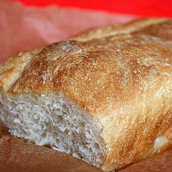 Artisan Bread in Five Minutes A Day