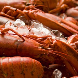 London’s Oyster & Seafood Fair