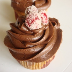 Ode to Fall Cupcakes