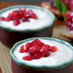 Vietnamese Yogurt