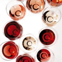 Wines for Thanksgiving