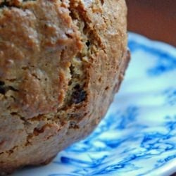 Orange Cranberry Muffins