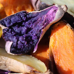 Yam vs. Sweet Potato
