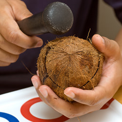 Freshly Squeezed Coconut Milk