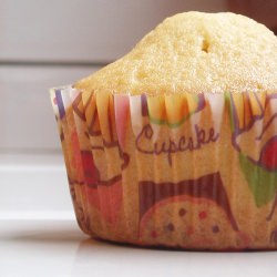 Vanilla Cupcakes