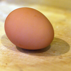 Free Range Egg