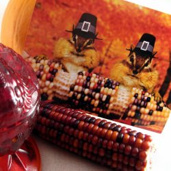 Thanksgiving Preparation