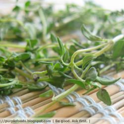 Thyme