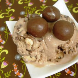 Malted Milk Whopper Ice Cream
