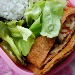 Inari-zushi