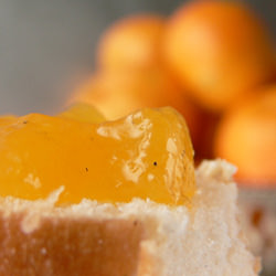 Satsuma Mandarin Jam