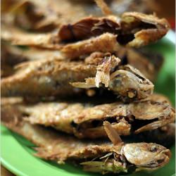 Deep-Fried Fish